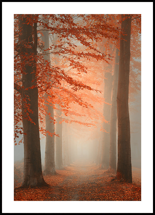 Autumn Dream Plakat