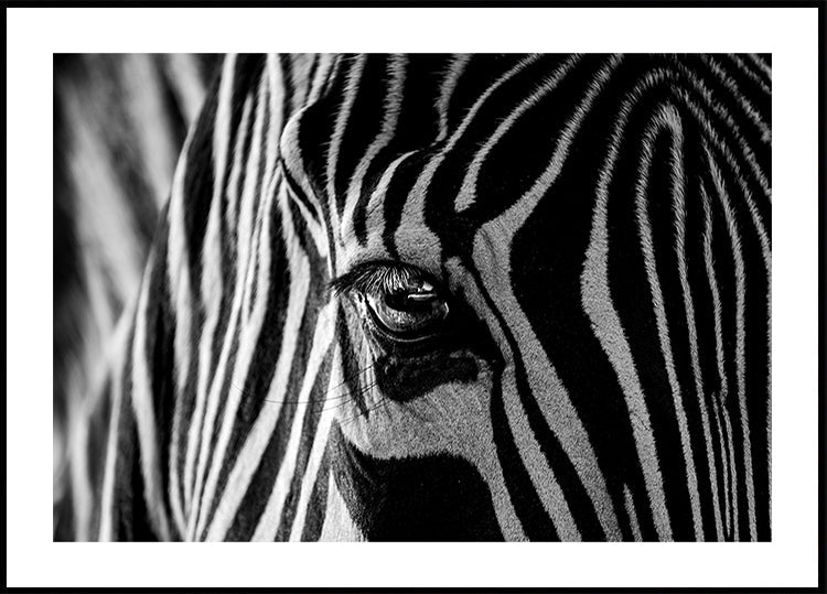 Abstract Zebra Plakat