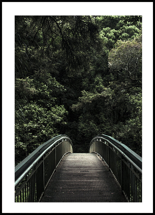 Forest Crossing Plakat