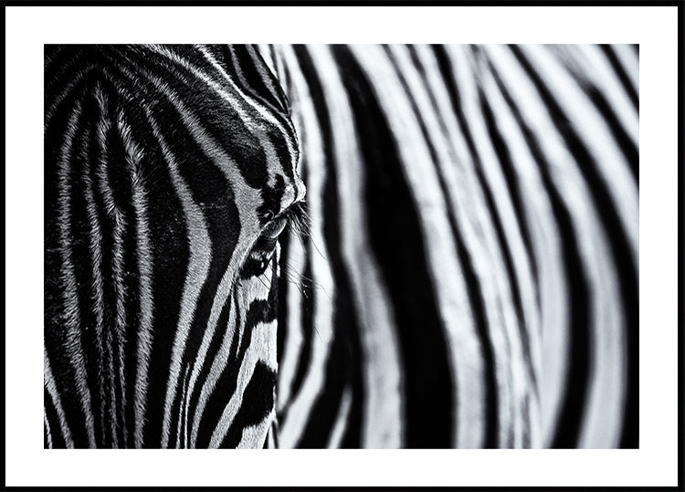 The look of nature Plakat