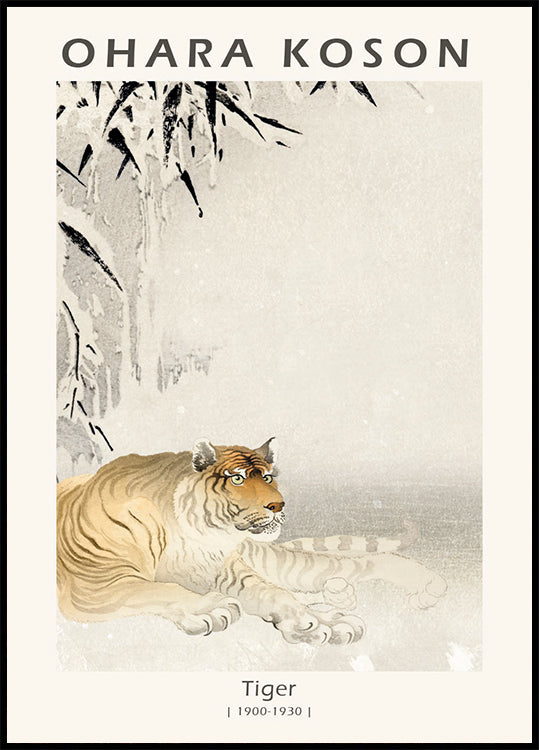 Tiger, Japanese Woodblock By Ohara Koson Plakat