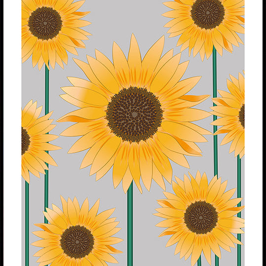 Sunflower - National flower och Ukraine Plakat