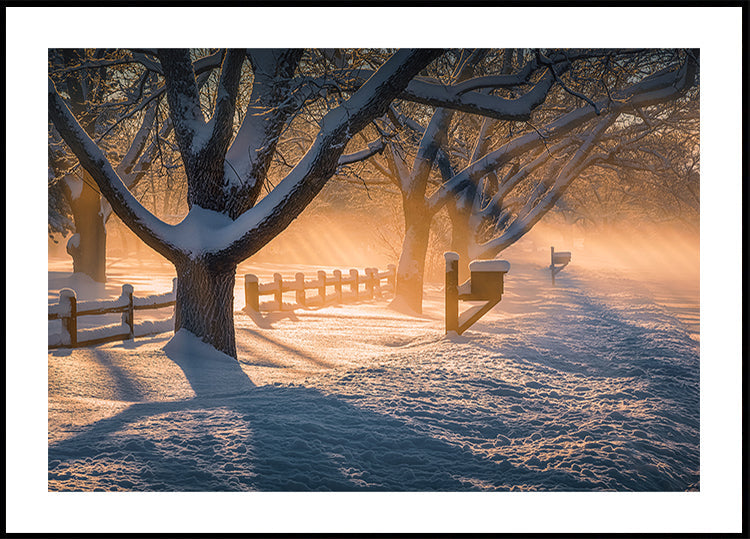 After Snow Storm Plakat