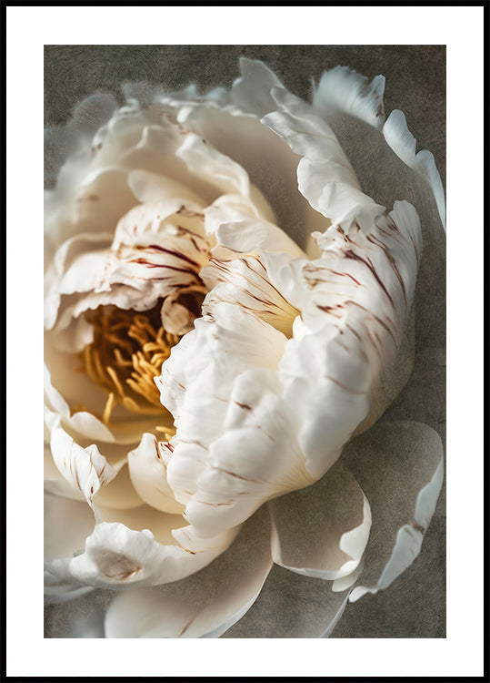 Petals of Serenity Plakat