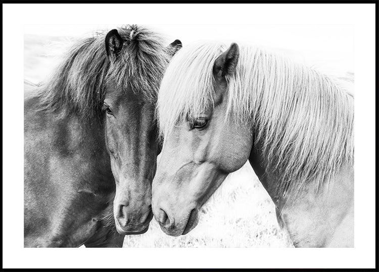 Horse Love Plakat