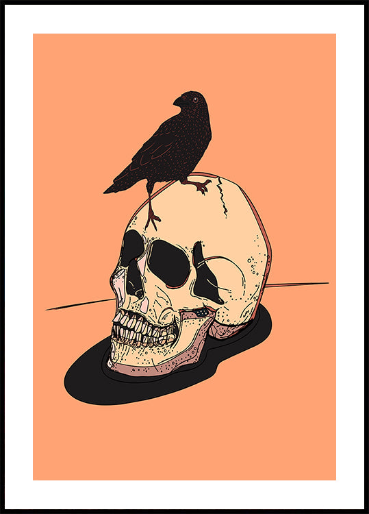 Skull And Raven Plakat