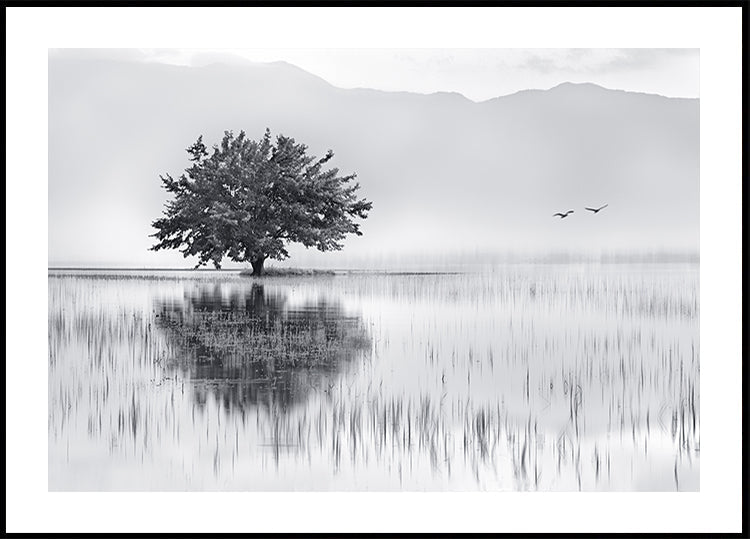 Spring Mirror Plakat