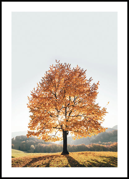 Majestic Autumn Tree Plakat