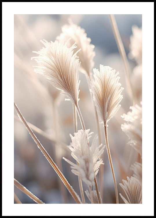 Frosted Elegance Plakat