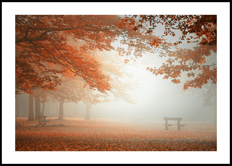 The wonders of nature