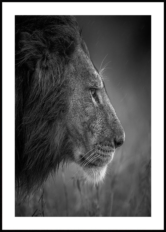 Thinking Under The Rain Plakat