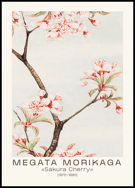 Sakura Cherry Japanese Blossom, Megata Morikaga 1870–1880 Plakat