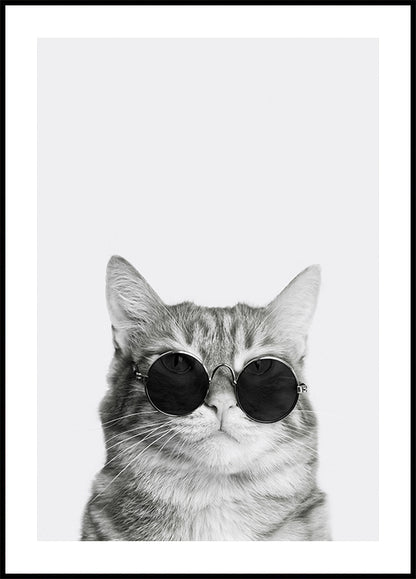 Cat in Sunglasses №2 Plakat