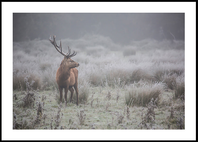 Prideful. deer . Poster