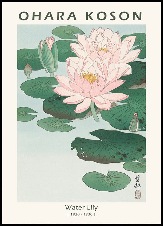 Water Lily, Japanese Woodblock By Ohara Koson Plakat