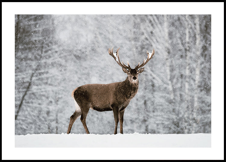 Majestic Deer in Snowy Forest Plakat