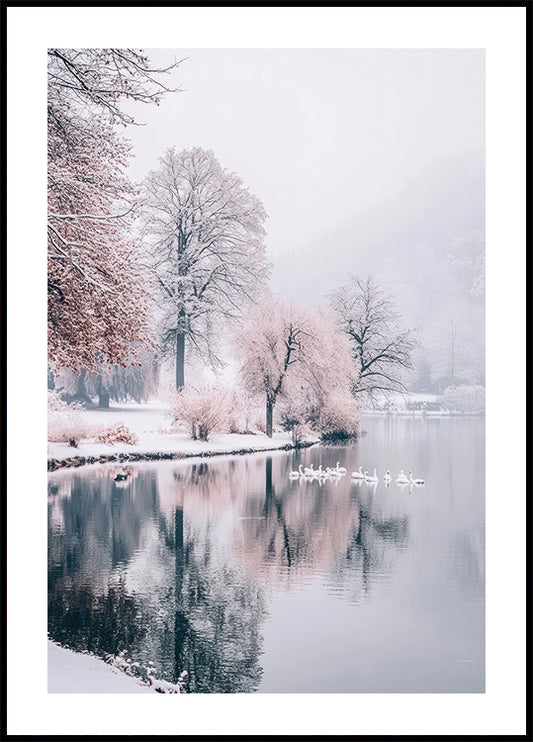 Swans on a Winter Lake Plakat