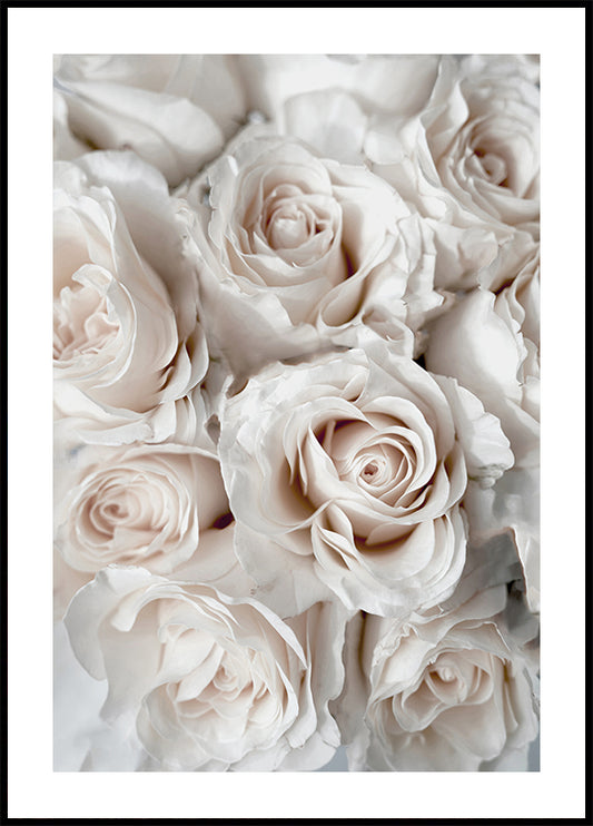 Elegant White Rose Bouquet Plakat