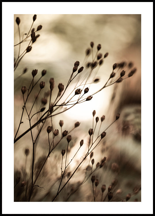 Autumn Lights Plakat