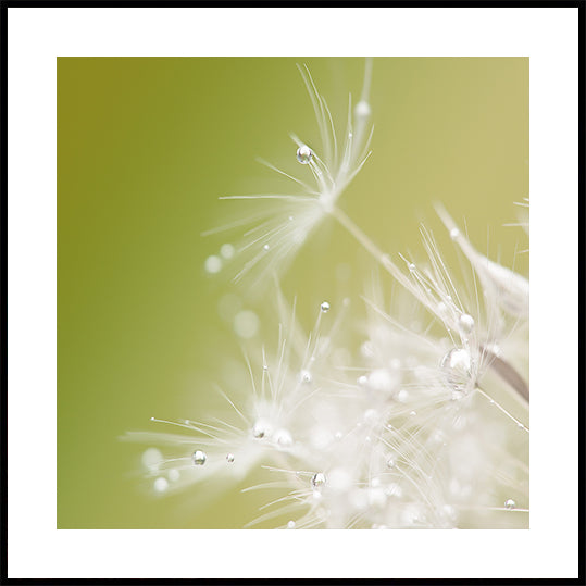 Green Poster