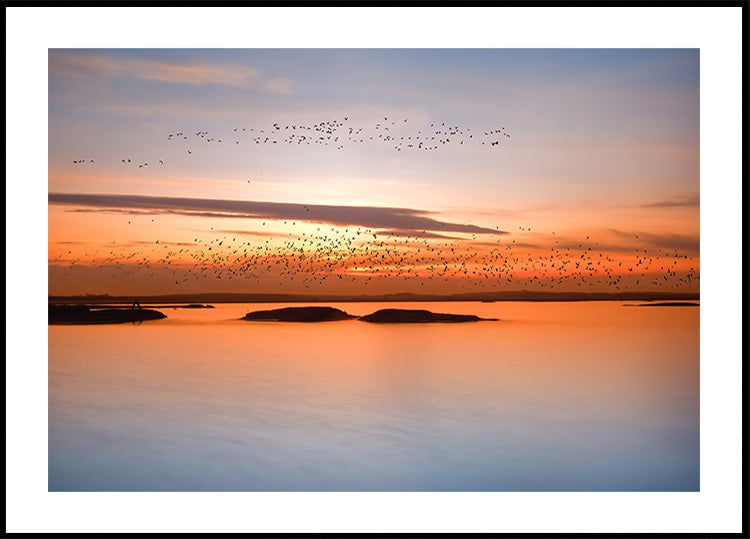 By sunset Plakat