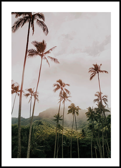 Palms and Mountain Plakat