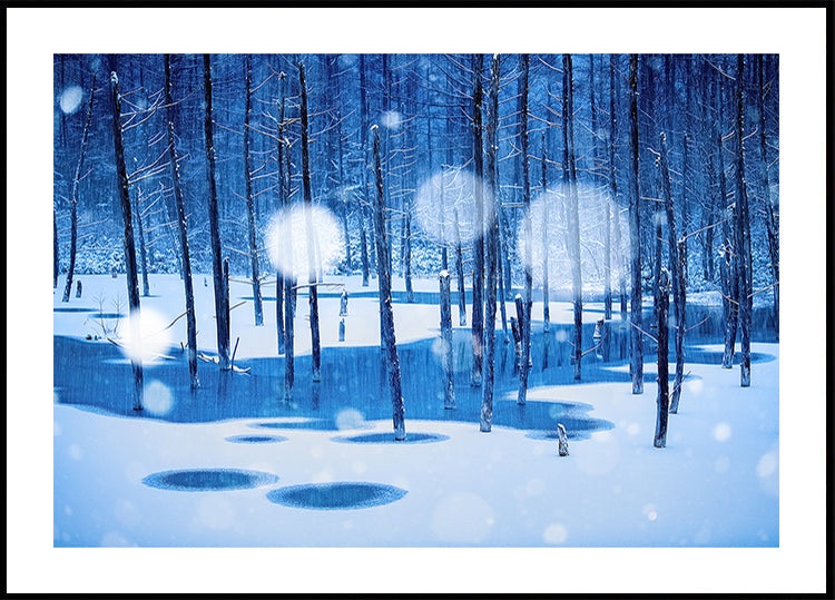 Fairyland Poster