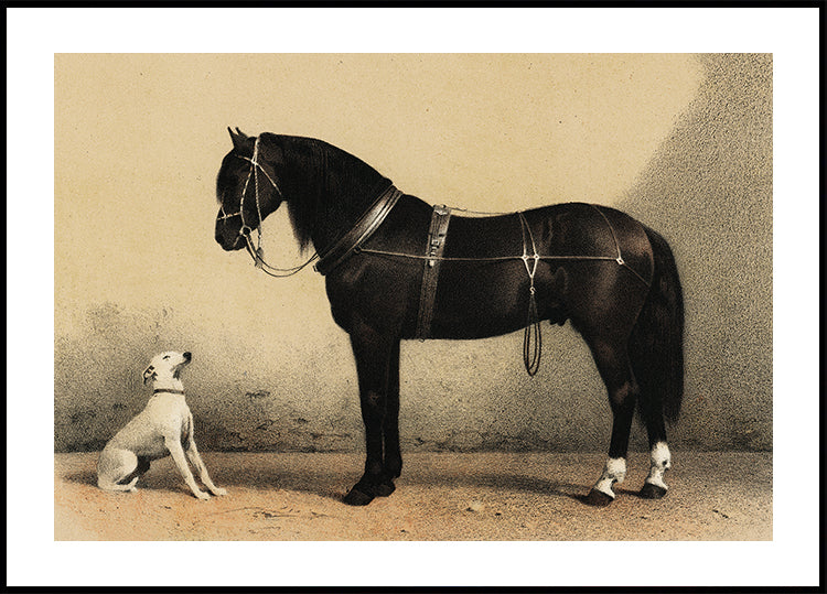 Emil Volkers - Orloffer Horse and Dog Plakat