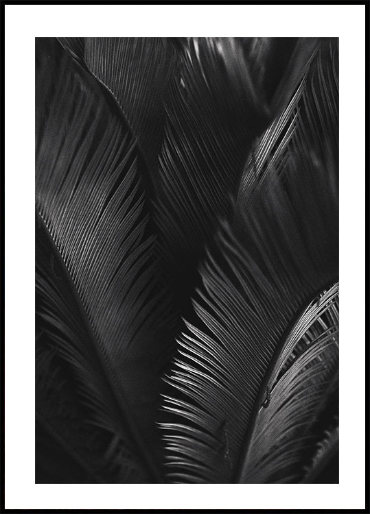 Palm Leaves Plakat