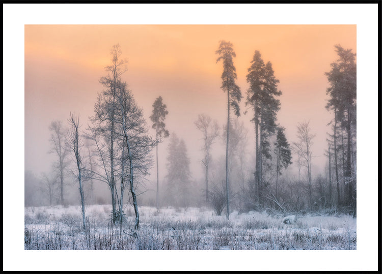 Frosty morning Plakat