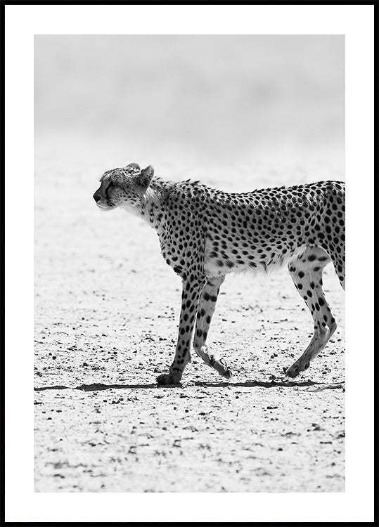 Silent Pursuit Plakat