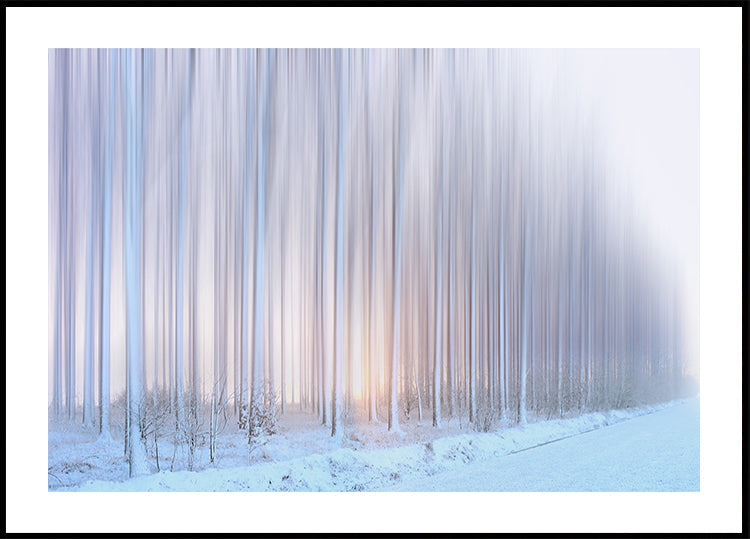 a curtain of trees Plakat