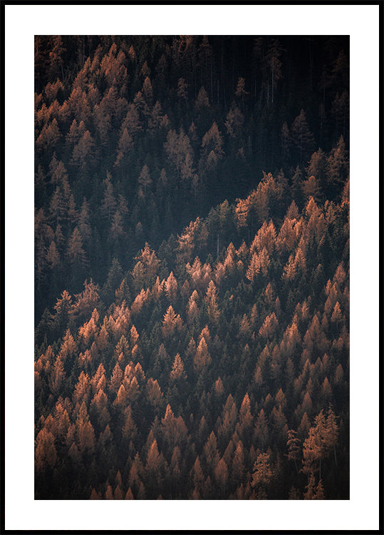 Autumn Woods 2 Plakat