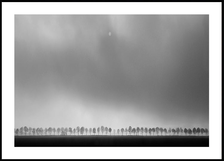 Polderlandscape Plakat