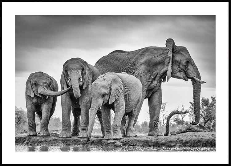 A Giant Unity Plakat