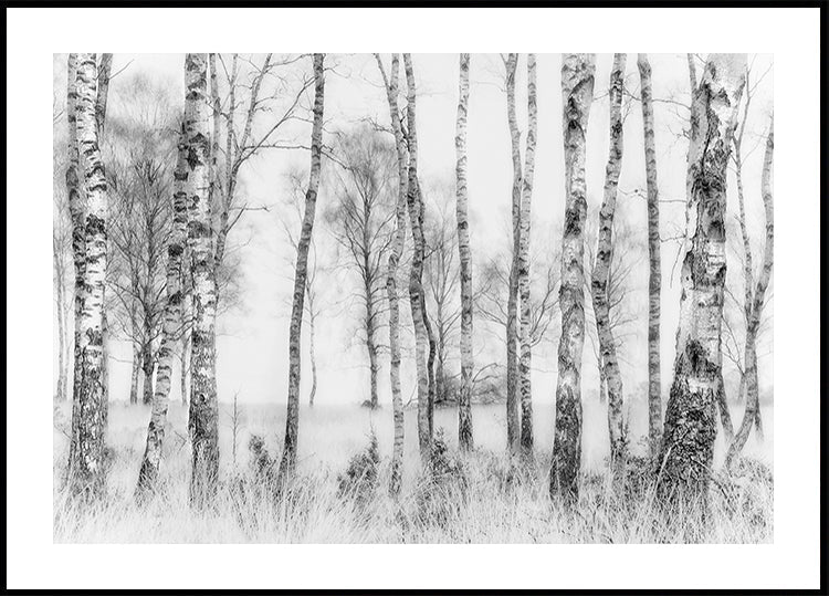 Black and white Plakat