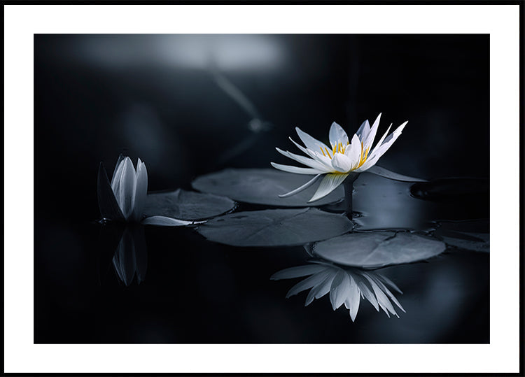 Reflection Poster