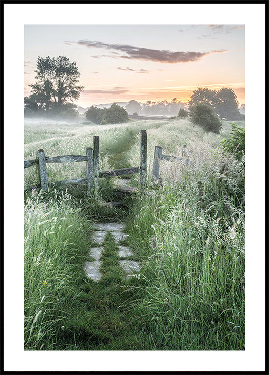 Misty Summer Dawn Plakat