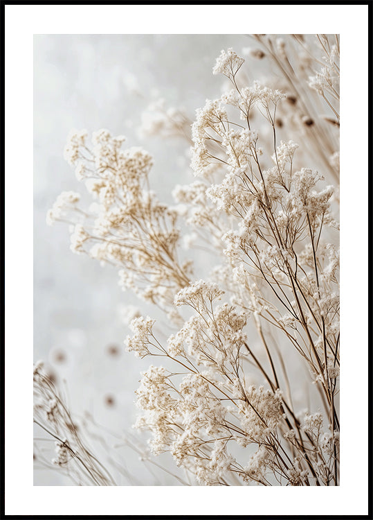Soft Whispers of Dried Wildflowers in Light Tones Plakat