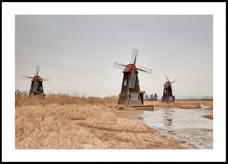 Old Windmills in the Countryside Plakat