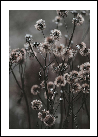 Forest Flowers Plakat