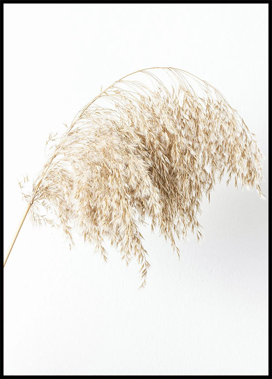 Boho Minimalist Dried Grass Plakat