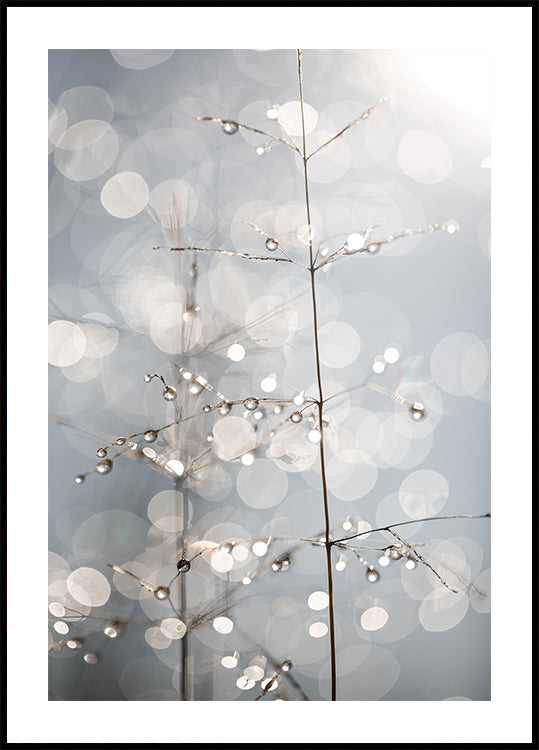 Natural Sparkle