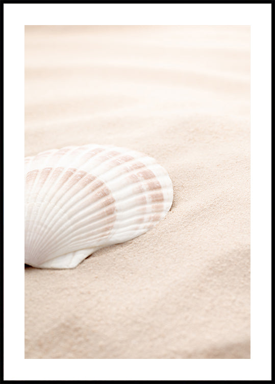 Shell_3 Plakat