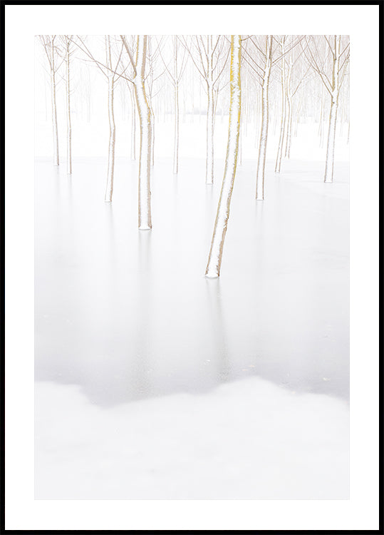 Winter Reflection Plakat