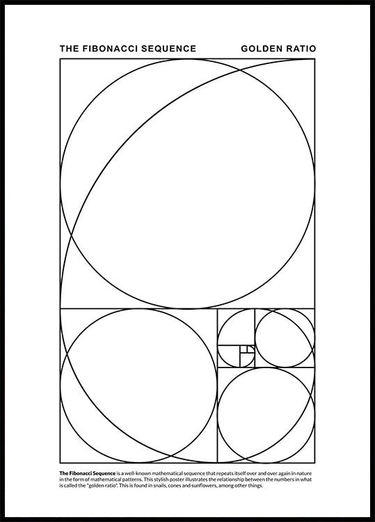 The Fibonacci Sequence Plakat