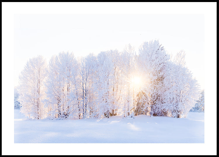 The light returns Plakat