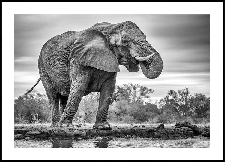 Standing Proud Plakat