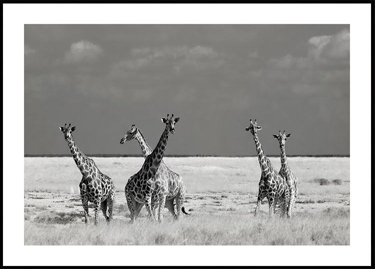 Look Girl Strange Animals Plakat