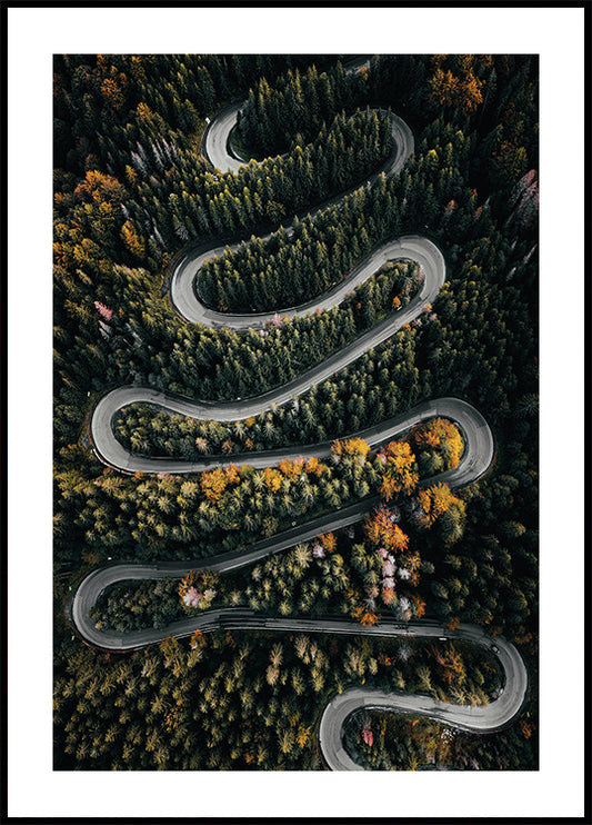 Winding Road in the Forest №2 Plakat